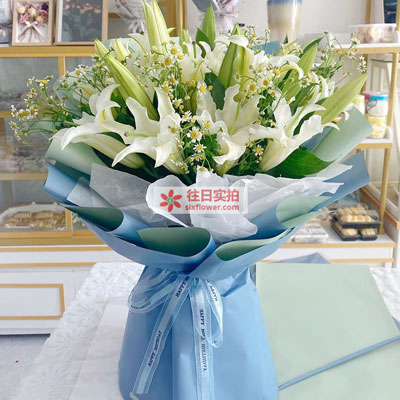 齐齐哈尔8支白色多头百合洋甘菊,互倾的思念