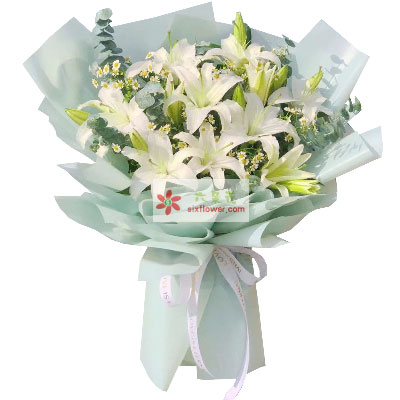 齐齐哈尔6支白色多头百合，温馨的祝福