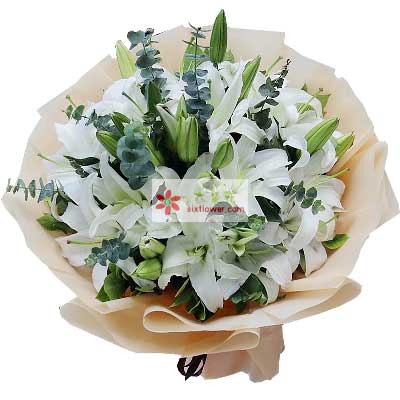 齐齐哈尔9支白色多头百合，祝福你幸福